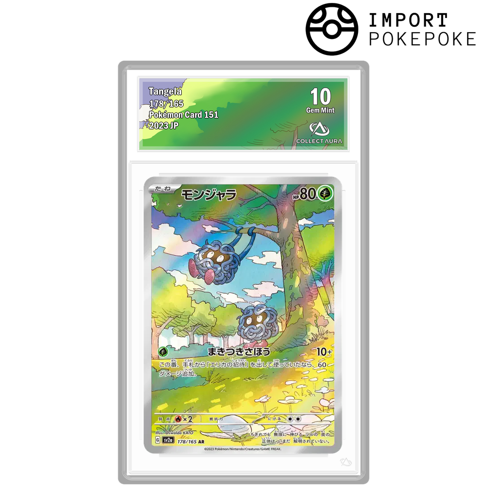 Saquedeneu AR 178/165 - SV2A