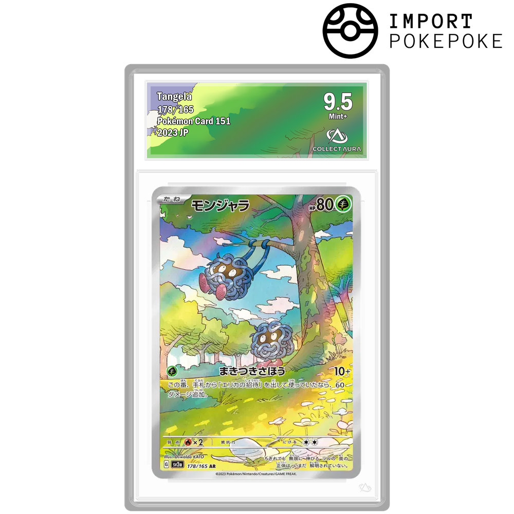 Saquedeneu AR 178/165 - SV2A