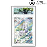 Shaofouine AR 072/066 - SV4k 