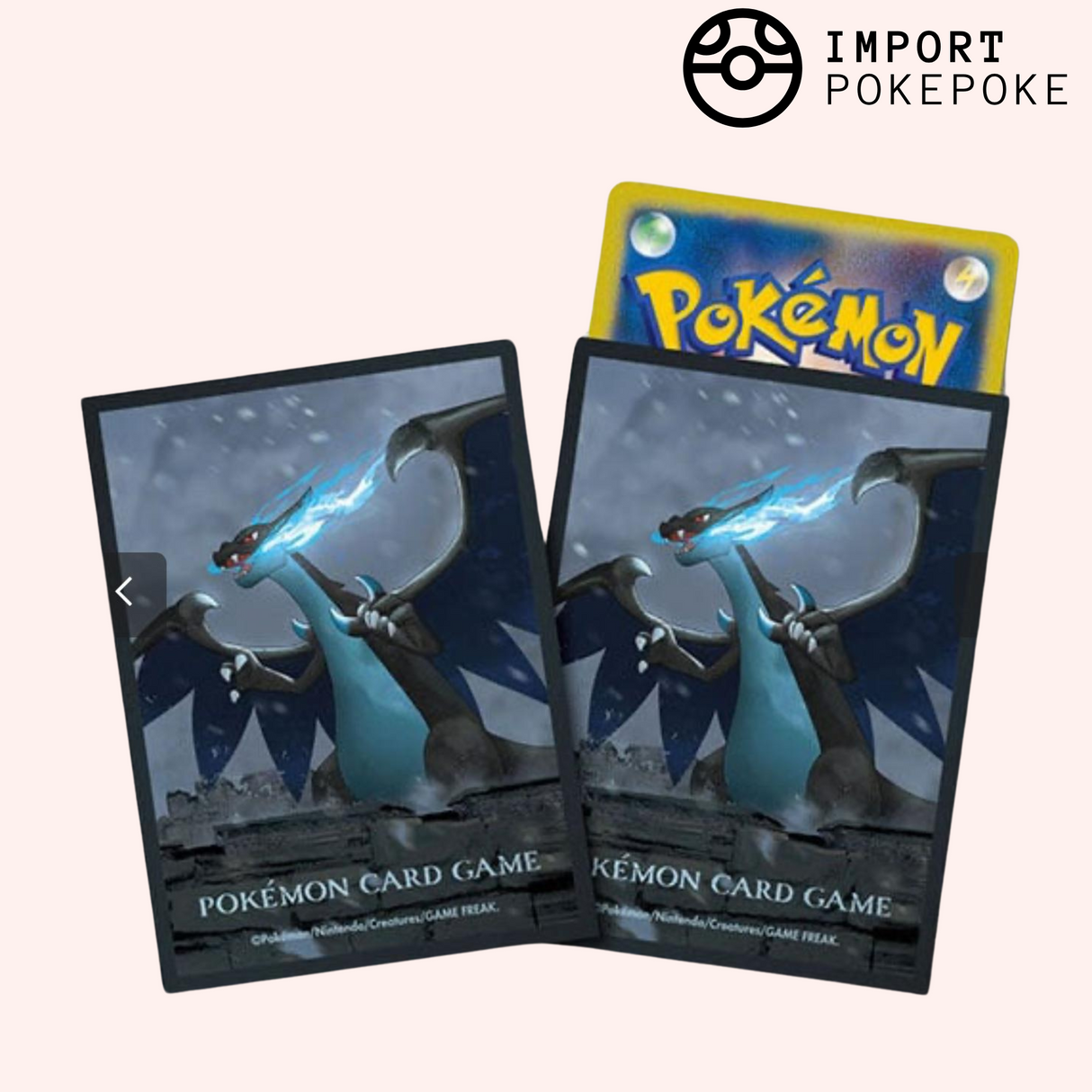 Sleeves - Méga Dracaufeu X