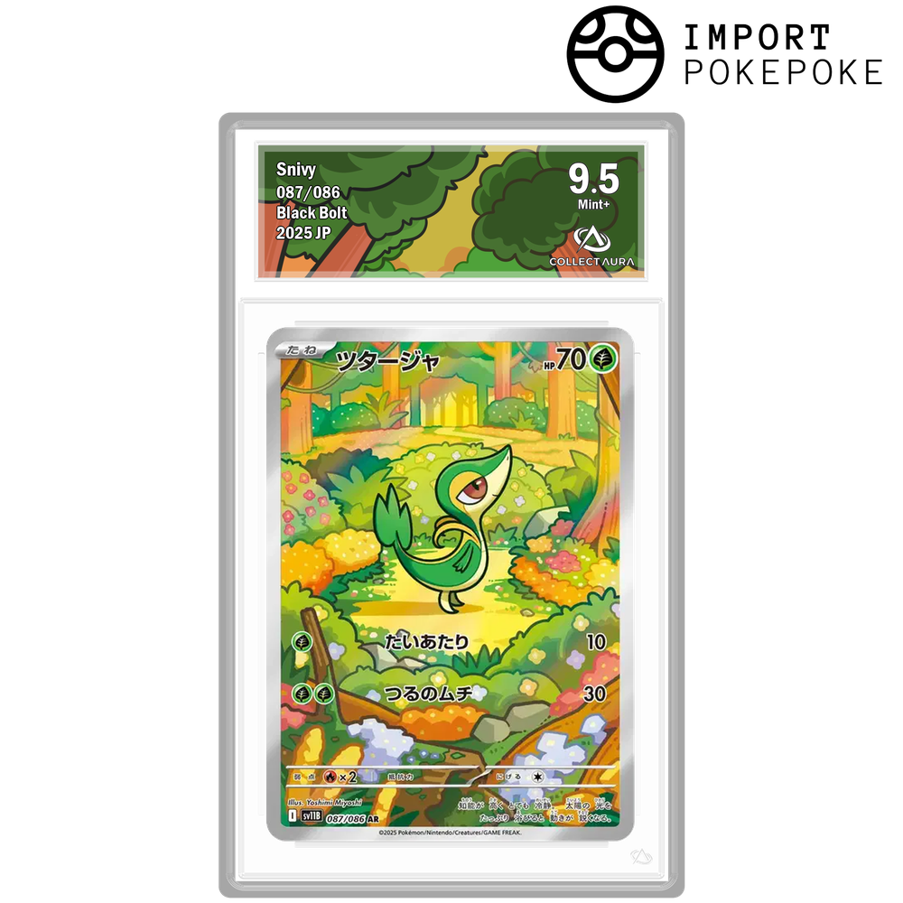 Vipélierre AR 087/086 - SV11B