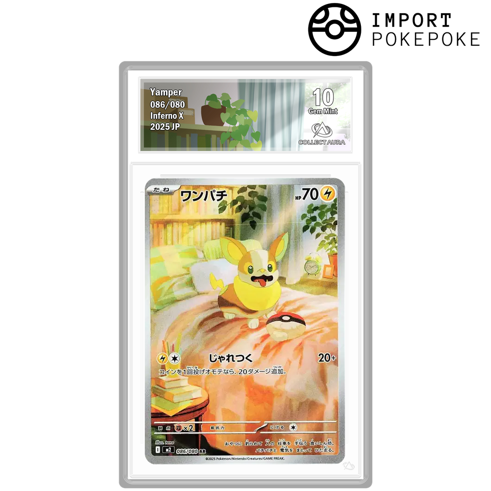 Voltoutou AR 086/080 - M2