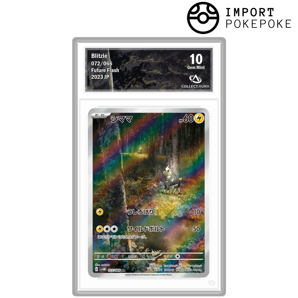 Zébibron AR 072/066 - SV4M