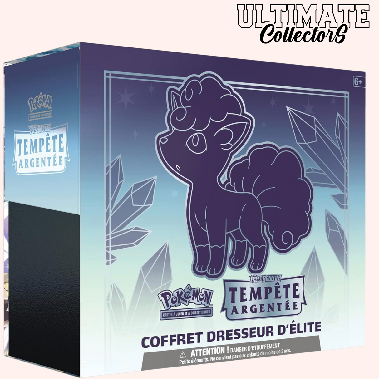 Coffret Dresseur d'Elite - Tempête Argentée - ETB EB12