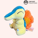 héricendre - Taille S - All Star Collection